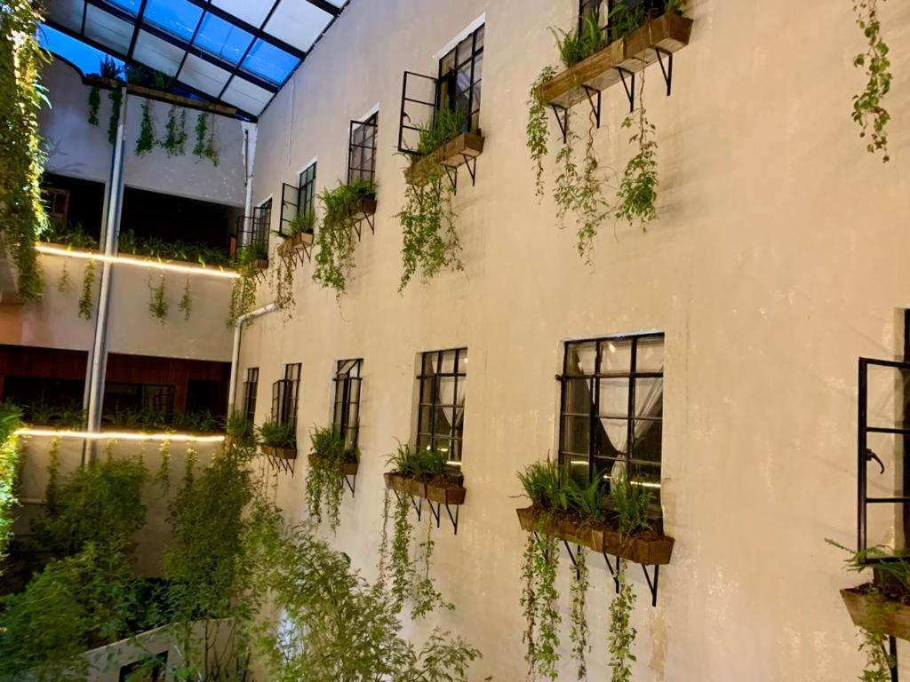 Frontera 49 Roma Norte Hostal Мехіко Екстер'єр фото