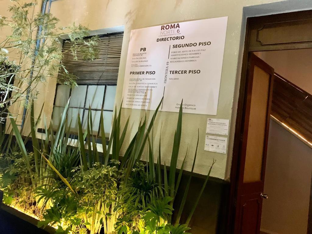 Frontera 49 Roma Norte Hostal Мехіко Екстер'єр фото