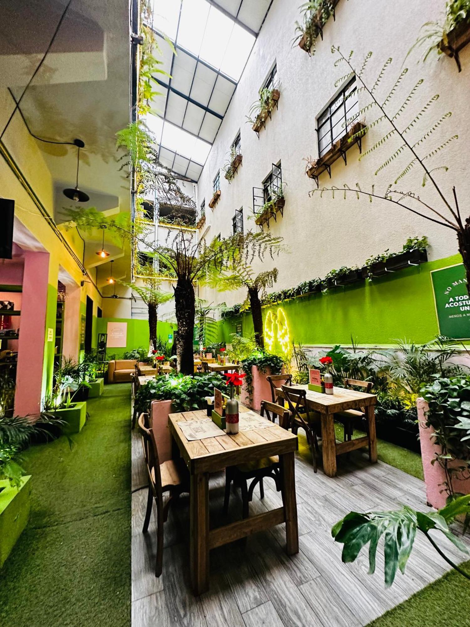 Frontera 49 Roma Norte Hostal Мехіко Екстер'єр фото