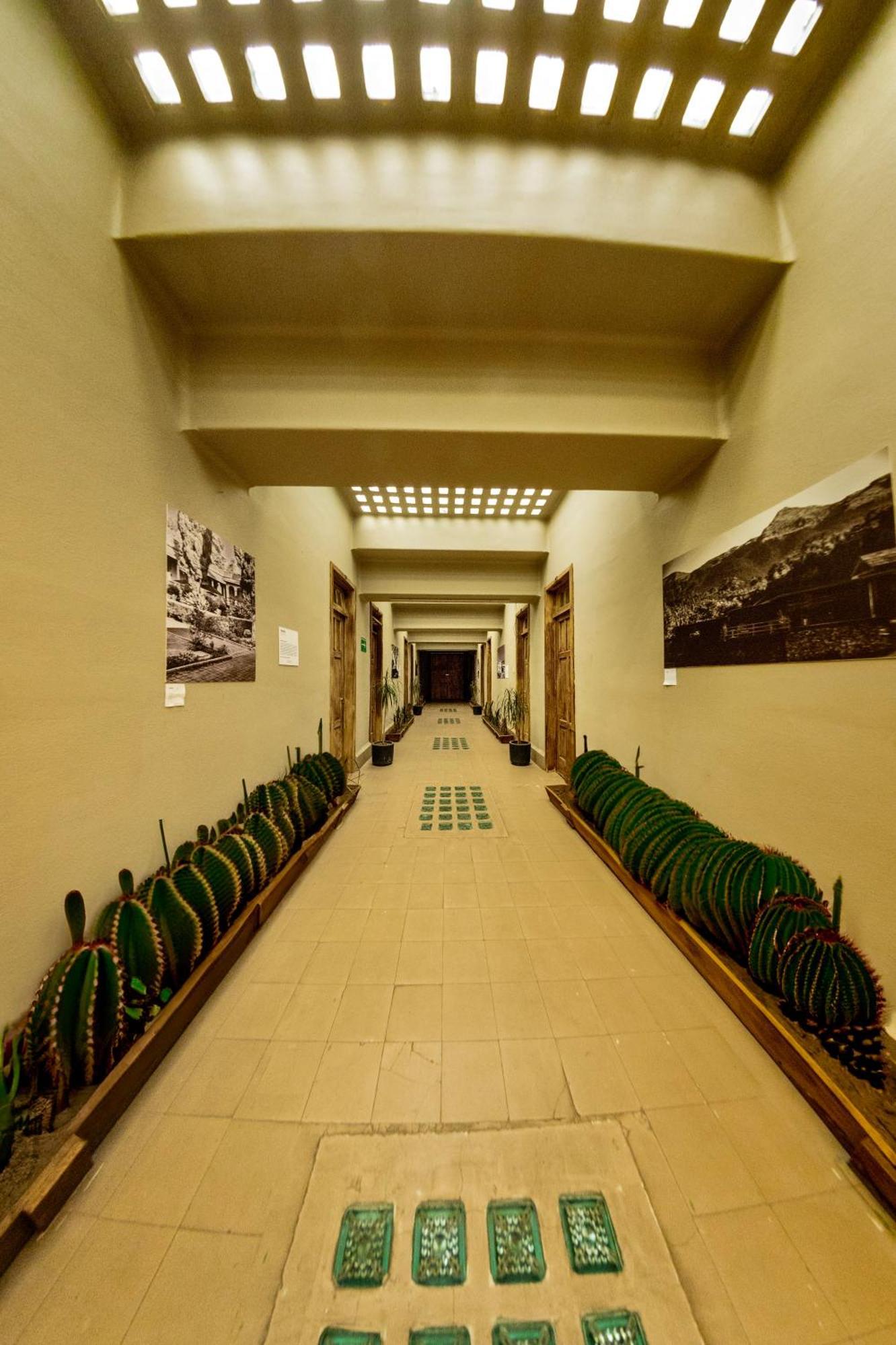 Frontera 49 Roma Norte Hostal Мехіко Екстер'єр фото