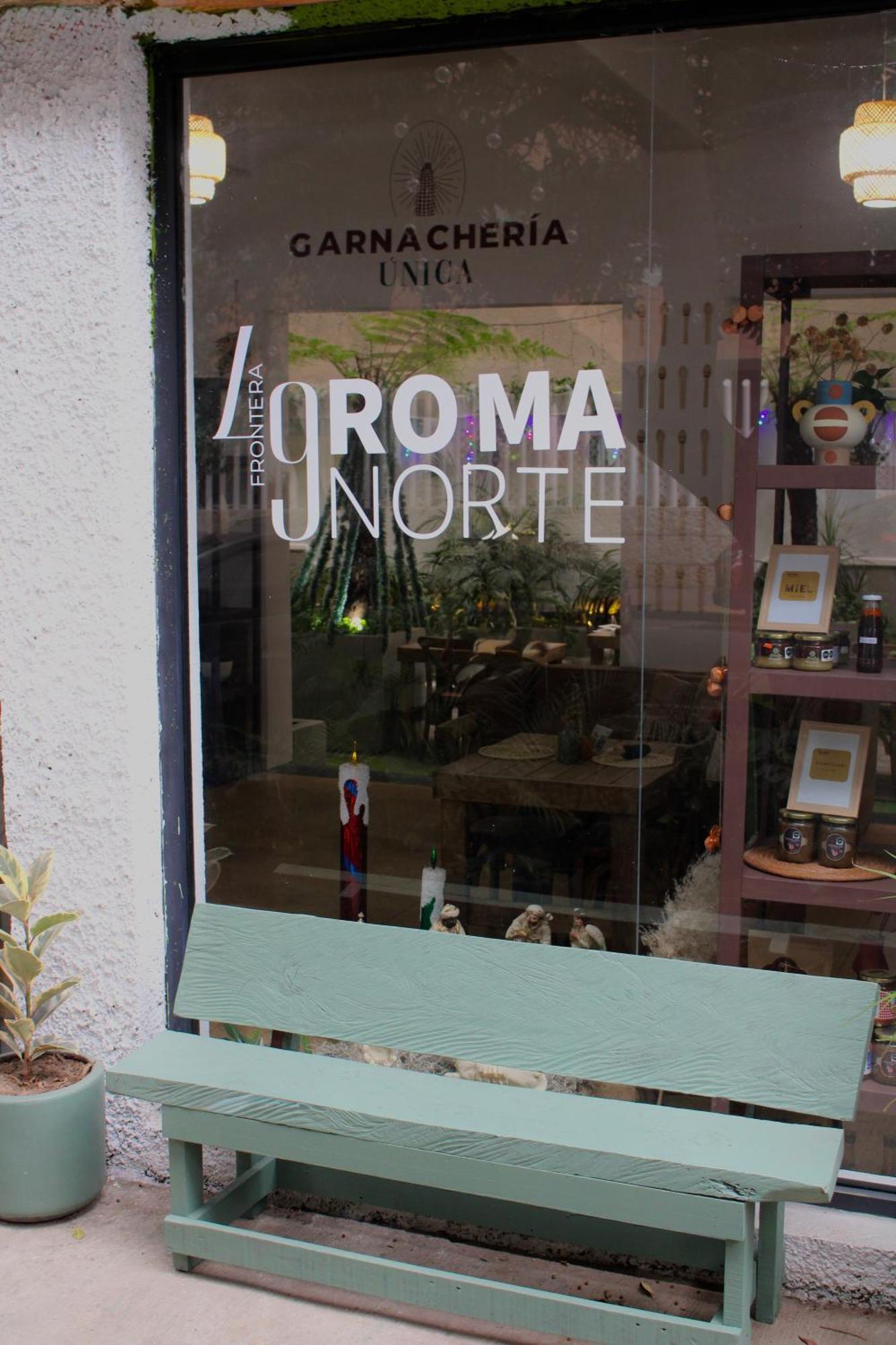 Frontera 49 Roma Norte Hostal Мехіко Екстер'єр фото